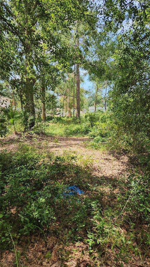 7624 Anno St, Tampa, FL, 33625 | Card Image