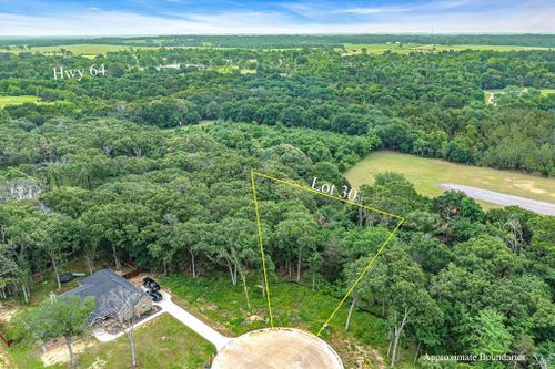 TBD Lot 30 Lakeview Drive, Canton, TX, 75103 | Card Image