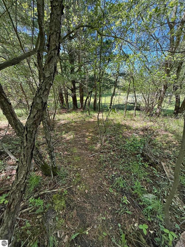 5867 Mabel Rd, House other with 5 bedrooms, 3 bathrooms and null parking in Williamsburg MI | Image 14