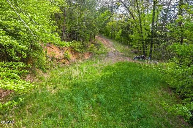2 Caywood Rd, Home with 0 bedrooms, 0 bathrooms and null parking in Dandridge TN | Image 4