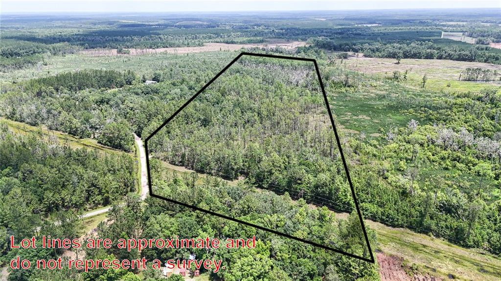 Land in Folkston 4
