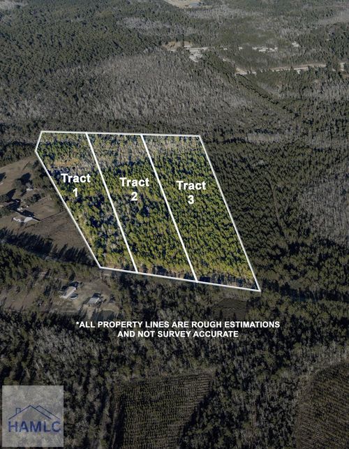 Tract 3 Smiley Rd Ne, Ludowici, GA, 31316-6746 | Card Image