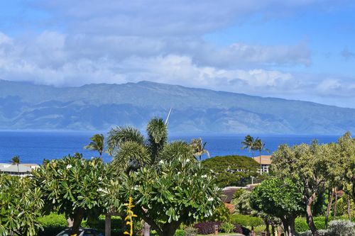 apt-1708-50 Puu Anoano St, Lahaina, HI, 96761-1962 | Card Image