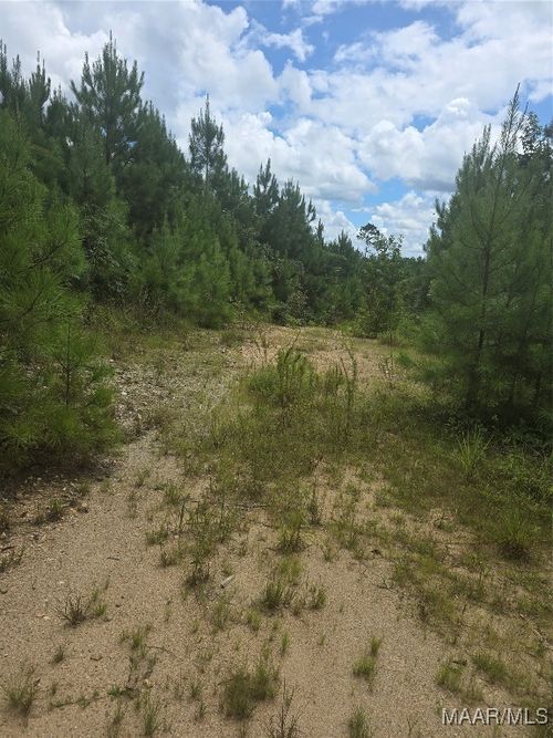 1 County Road 256, Clanton, AL, 35046 | Card Image