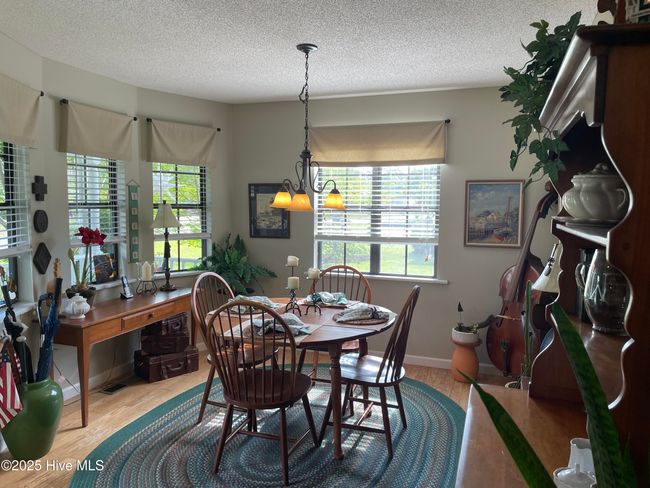 111 Spring Branch Dr, House other with 3 bedrooms, 2 bathrooms and 1 parking in Harrells NC | Image 24
