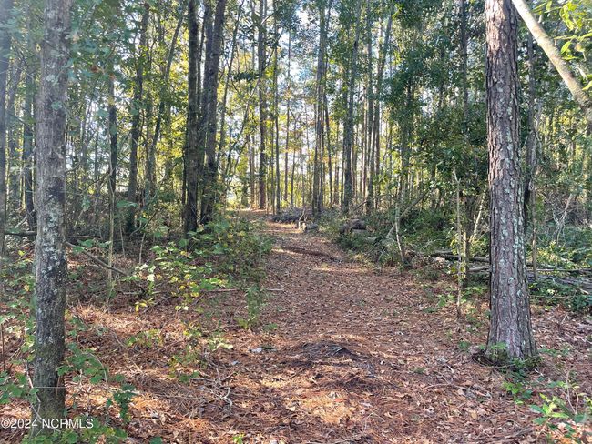 6879 Haynes Lennon Hwy, Home with 0 bedrooms, 0 bathrooms and null parking in Evergreen NC | Image 7