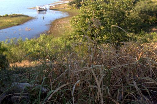 TBD Summer Wind Dr, Brownwood, TX, 76801 | Card Image