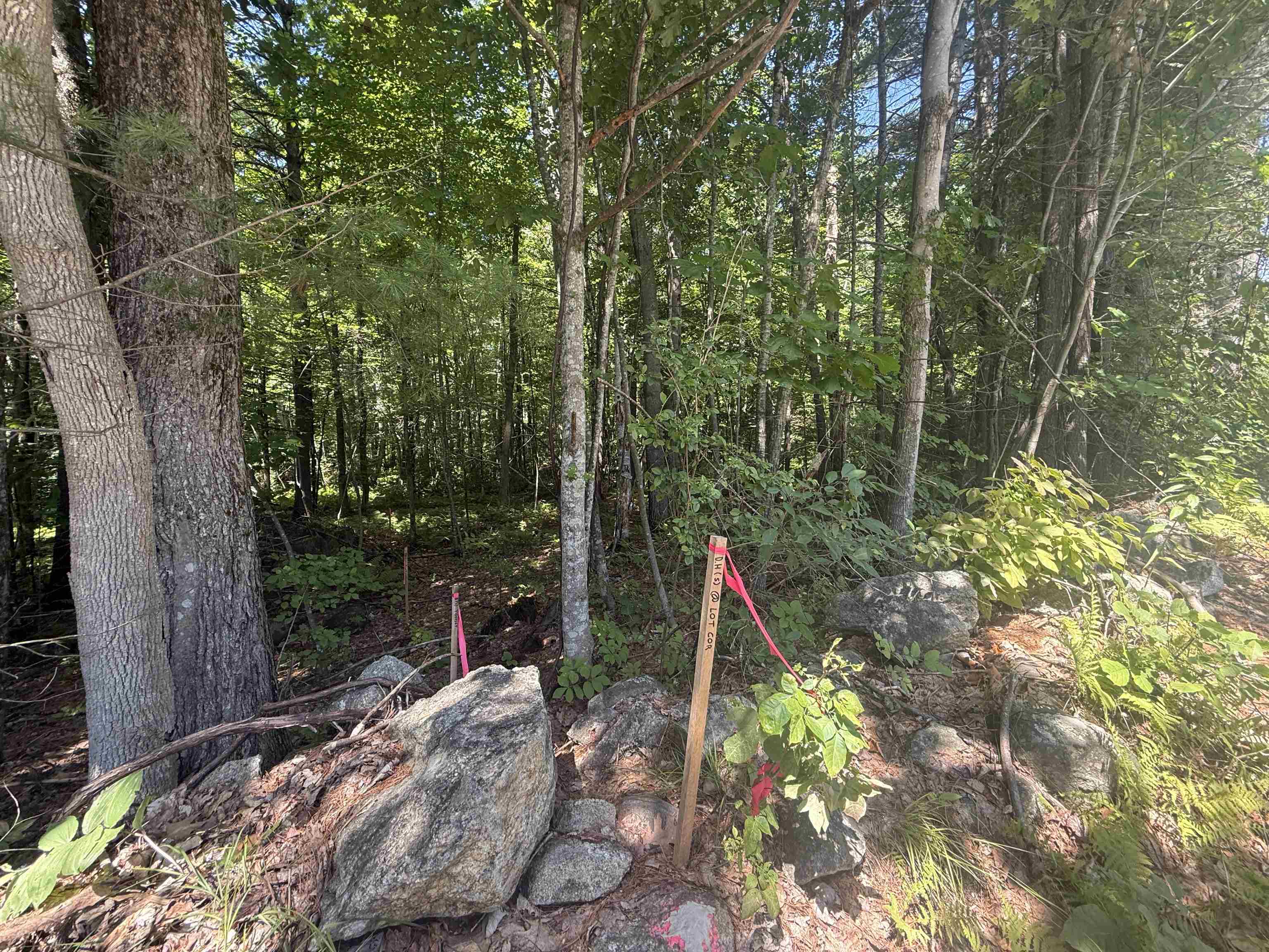 Land in Milford 2