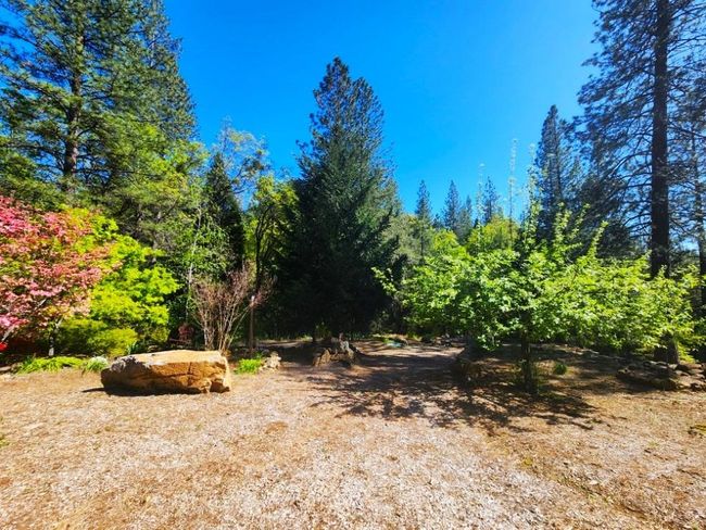 955 Grinding Rock Ct, House other with 3 bedrooms, 2 bathrooms and null parking in West Point CA | Image 10