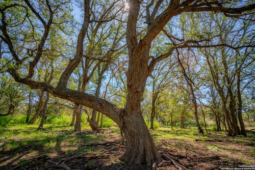 0 N Highway 16, San Saba, TX, 76877 | Card Image