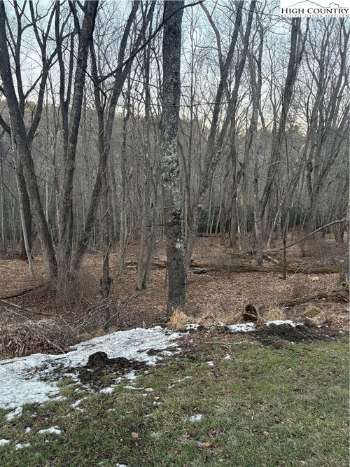 TBD 3-D Silo Road, Sparta, NC, 28675 | Card Image