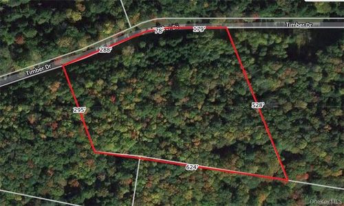 Lot 5 Timber Dr, Cochecton, NY, 12726 | Card Image