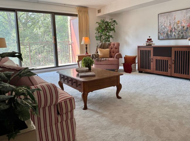 APT-3A - 825 Pearson St, Condo with 2 bedrooms, 2 bathrooms and 1 parking in Des Plaines IL | Image 25