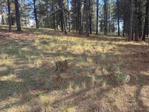 Lot 60 Valley Rd, Angel Fire, NM, 87710 | Card Image