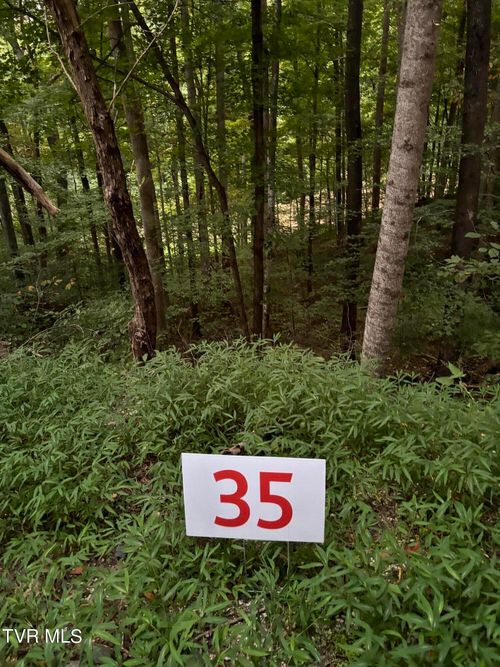 35 Fox Trot Pl, Unicoi, TN, 37692 | Card Image