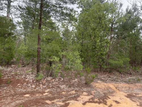 0 Grey St, Interlachen, FL, 32148 | Card Image