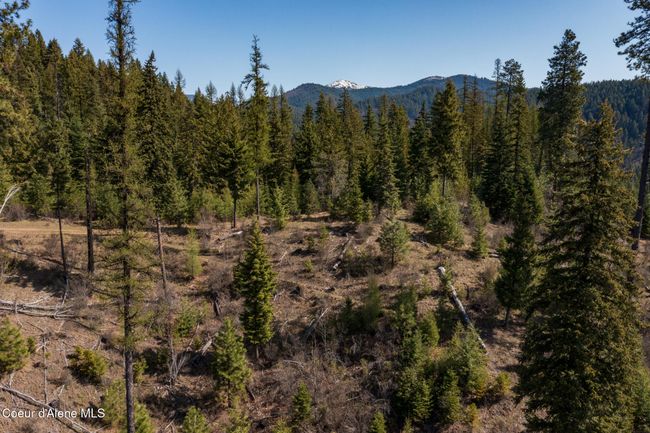 262 North Side Road, Home with 0 bedrooms, 0 bathrooms and null parking in Calder ID | Image 14