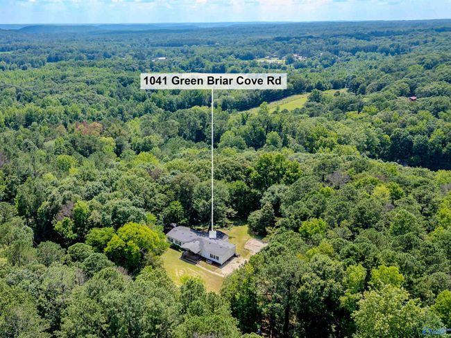 1041 Green Briar Cove Rd, House other with 4 bedrooms, 2 bathrooms and null parking in Union Grove AL | Image 45