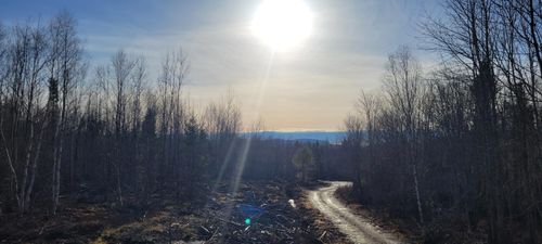 171 Sugar Hill Road, Eastbrook, ME, 04634 | Card Image