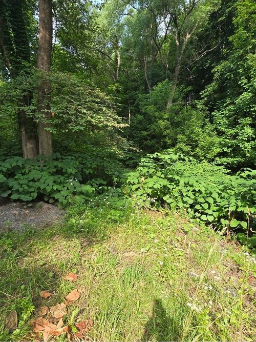 LOT Munroe Ave, New Glasgow, NS, B2H | Card Image