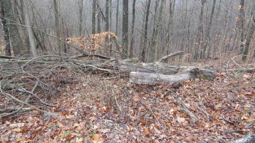 1718 Savannah Dr, Smithville, TN, 37166 | Card Image