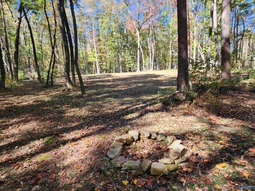 522 Libby Ln, Mentone, AL, 35984 | Card Image