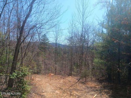 255 Copperhead Rd, Oakdale, TN, 37829 | Card Image