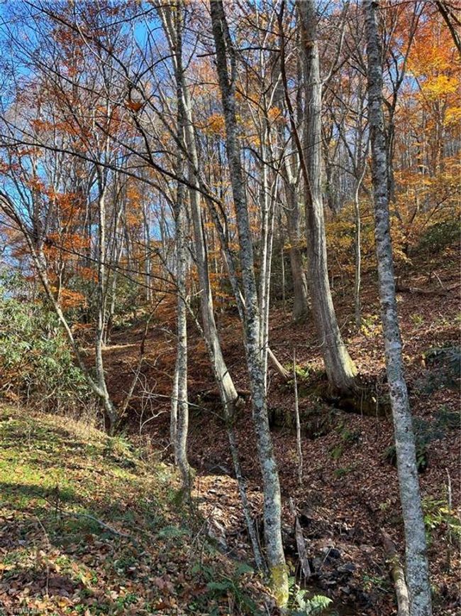 1972 Big Horse Creek Rd, House other with 3 bedrooms, 2 bathrooms and null parking in Lansing NC | Image 13