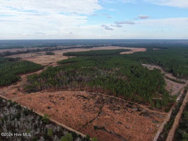 55618 Nc 210 Hwy, Home with 0 bedrooms, 0 bathrooms and null parking in Currie NC | Image 39