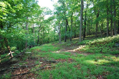 Lot 23 Cove Creek Road, BAKER, WV, 26801 | Card Image