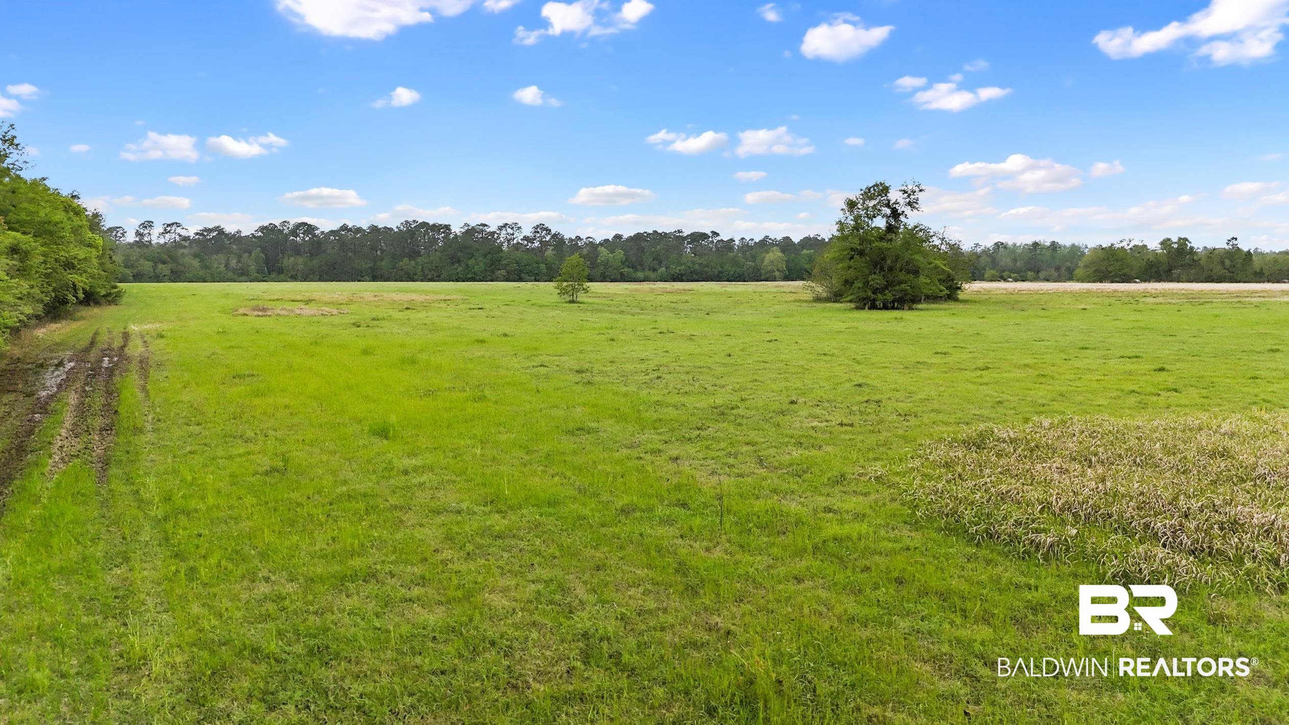 Land in Summerdale 4