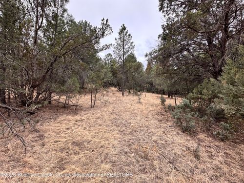 111 Antler Dr, Alto, NM, 88312-8032 | Card Image
