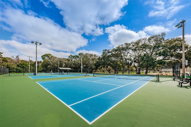 Tennis and Pickleball! | Image 40