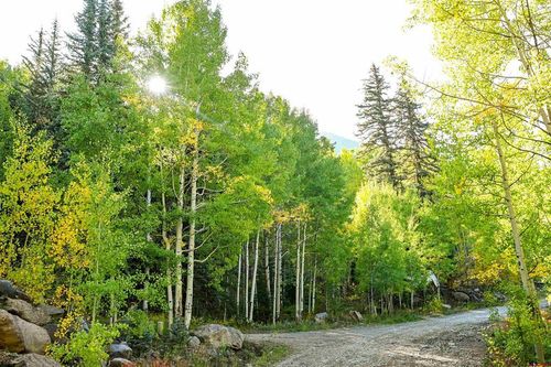 000 Mill Rd, Rico, CO, 81332 | Card Image