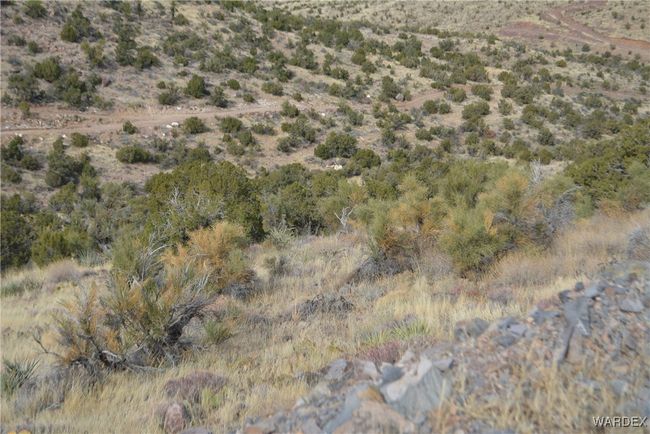 View | Image 19