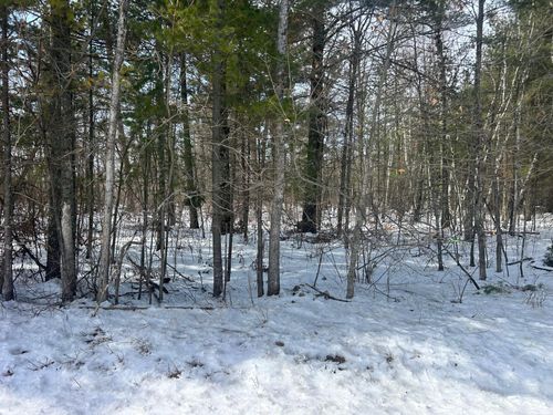 TBD County 1 W, Pine River, MN, 56474 | Card Image