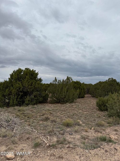 55 County Rd, Concho, AZ, 85924 | Card Image