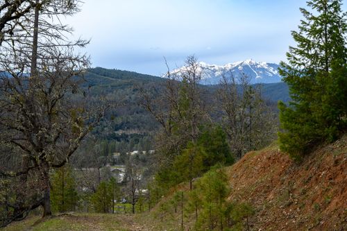 175 Gibson Rd, Lewiston, CA, 96052 | Card Image