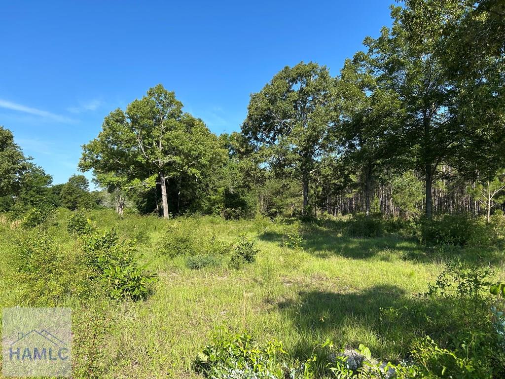 Land in Jesup 5