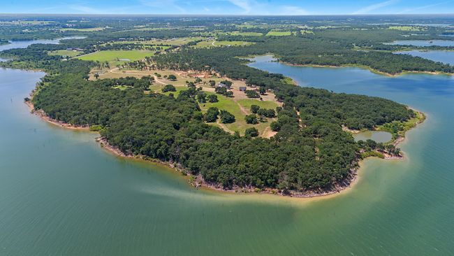 Drone / aerial view of a forest and a nearby body of water | Image 21