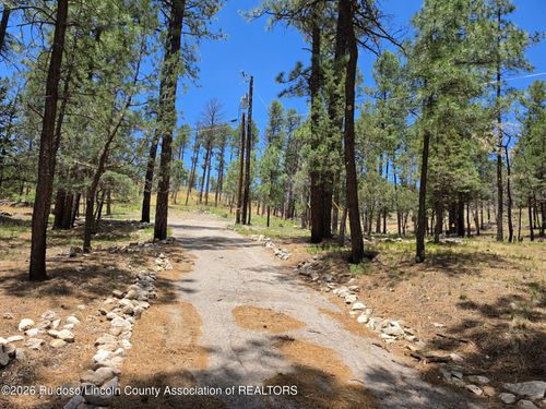 lot-3-209 Lake Shore Drive, Alto, NM, 88312 | Card Image