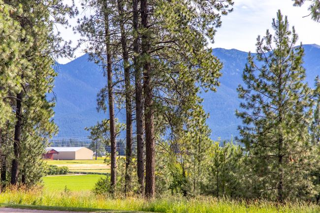 close proximity to the mountains | Image 98