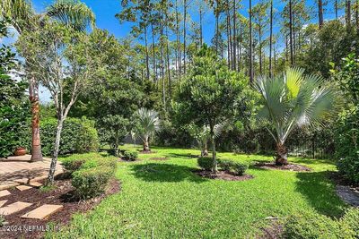 Privacy on this preserve lot: best of both worlds- Nocatee lifestyle with your own private oasis | Image 2