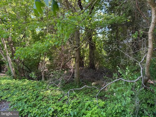 0 Ackerman Dr, STEVENSVILLE, MD, 21666 | Card Image