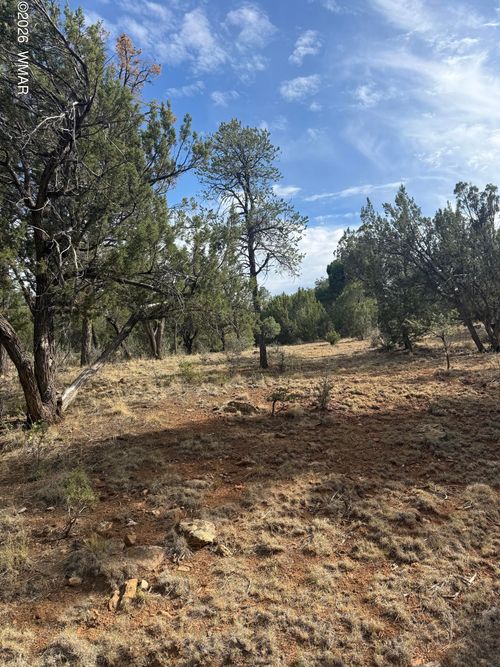 1522 Foxtail Lane, Heber, AZ, 85928 | Card Image