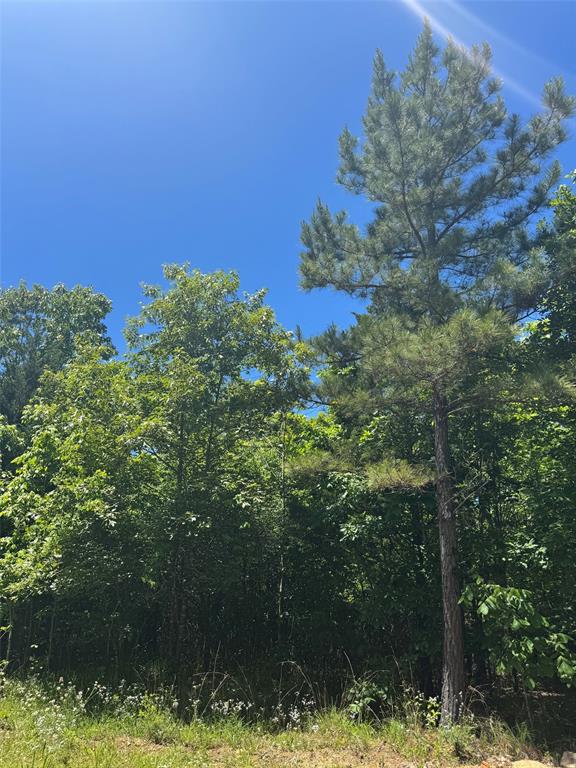 Land in Watson 5