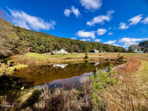 1393 Caney Valley Loop, Surgoinsville, TN, 37873-6313 | Card Image