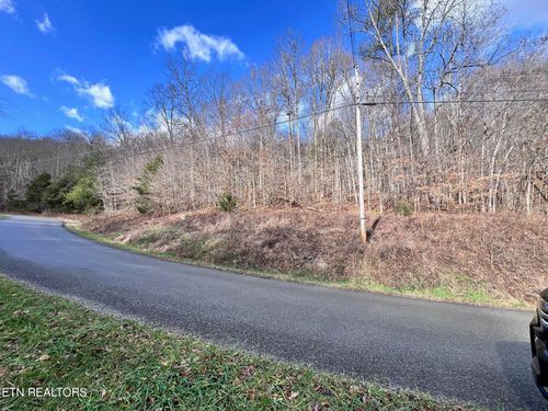 96 Whistle Valley Rd, New Tazewell, TN, 37825 | Card Image