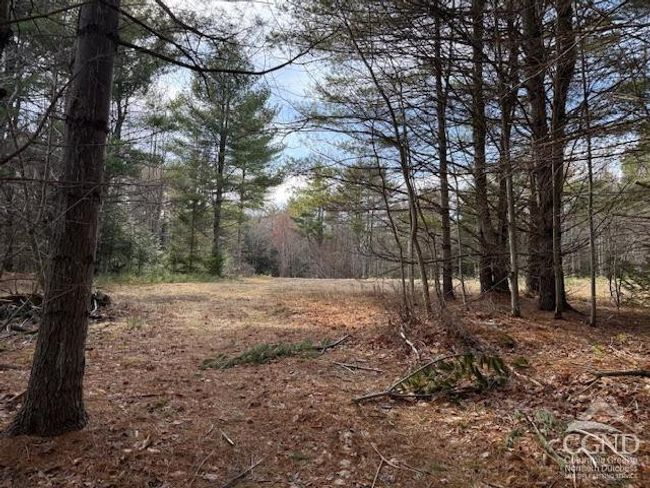 0 Campbell Rd, Home with 0 bedrooms, 0 bathrooms and null parking in Windham NY | Image 14