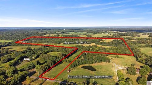 00 Briensburg Tatumsville Rd, Benton, KY, 42025 | Card Image